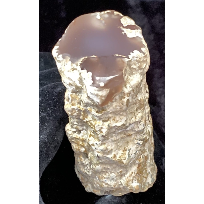 Pink Limb Cast of Petrified Wood - Image 2