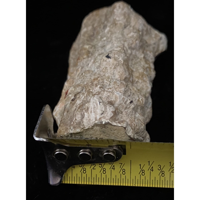Pink Limb Cast of Petrified Wood - Image 3