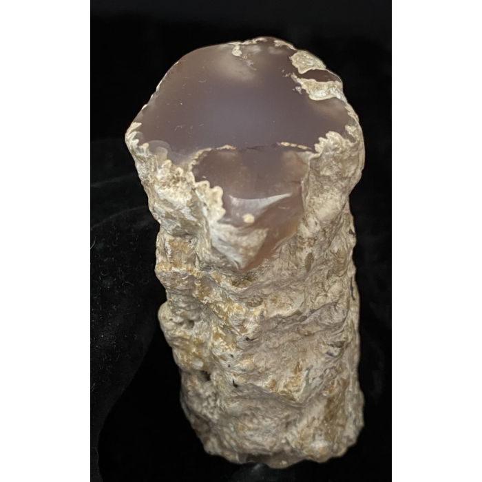 Pink Limb Cast of Petrified Wood