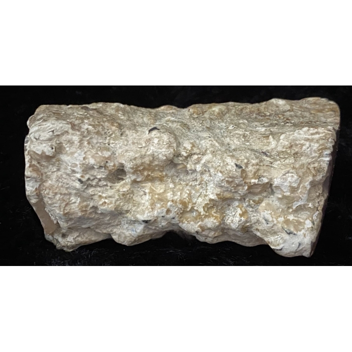 Pink Limb Cast of Petrified Wood - Image 10