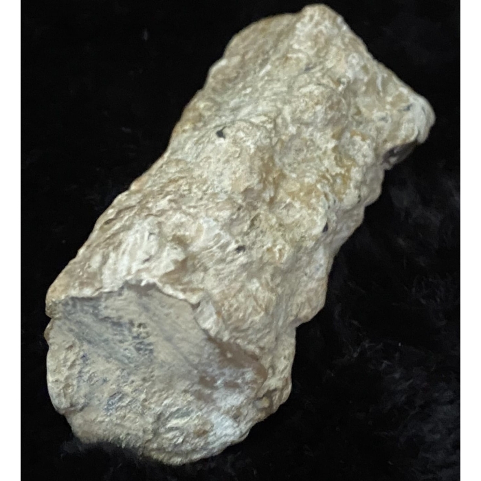 Pink Limb Cast of Petrified Wood - Image 9