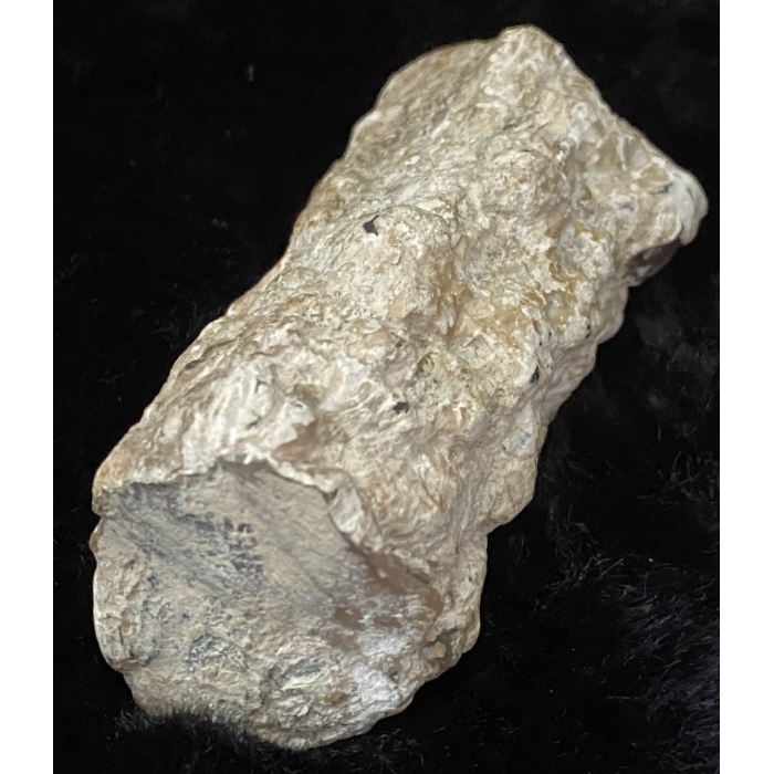 Pink Limb Cast of Petrified Wood - Image 8