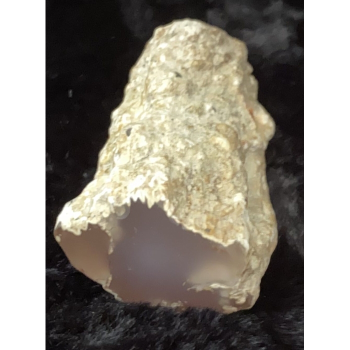 Pink Limb Cast of Petrified Wood - Image 6
